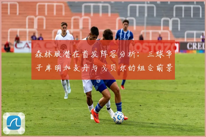森林狼潜在首发阵容分析：三球华子库明加麦丹与戈贝尔的组合前景如何