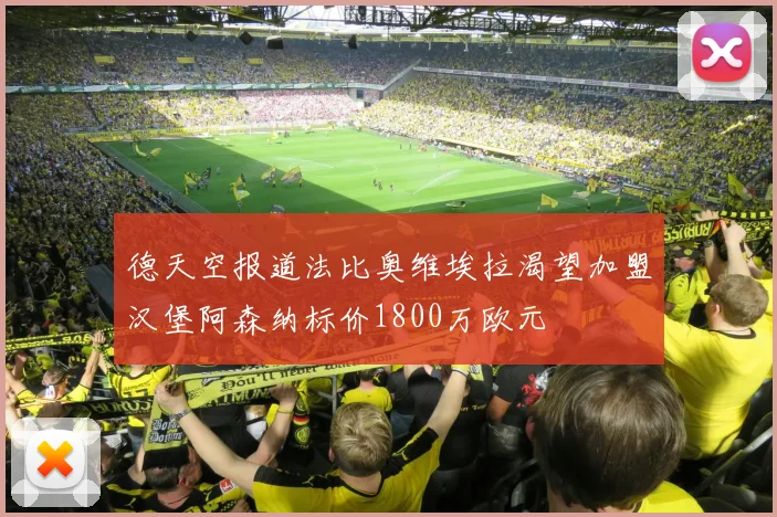 德天空报道法比奥维埃拉渴望加盟汉堡阿森纳标价1800万欧元