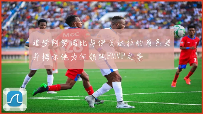 追梦阿努诺比与伊戈达拉的角色差异揭示他为何领跑FMVP之争